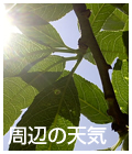 周辺の天気